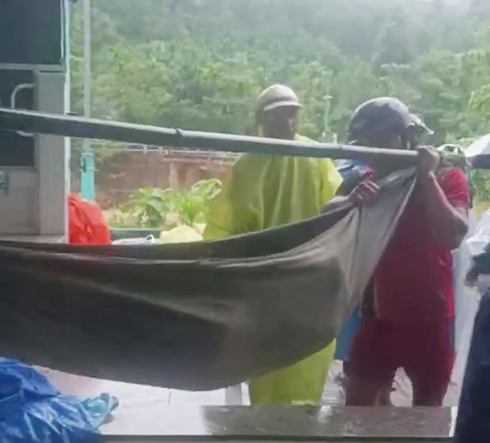 岘港山区5人因山体滑坡和树木倒塌受伤